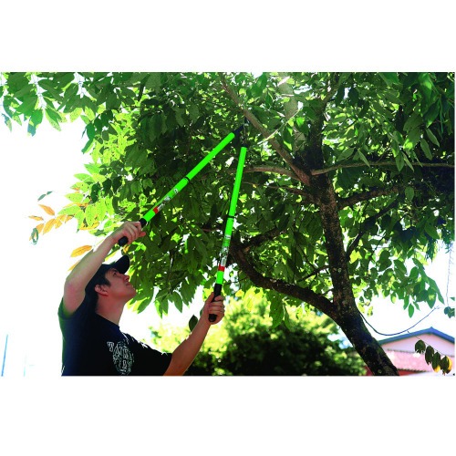 Tesoura corta galhos com cabo telesc�pico 63,5 - 96,5 cm TS40859