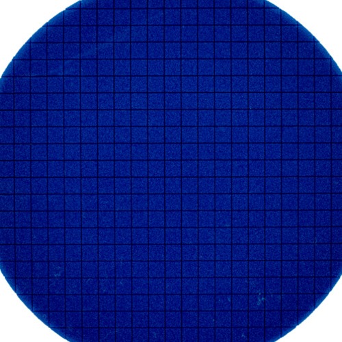 Boina de espuma square para roto orbital 5