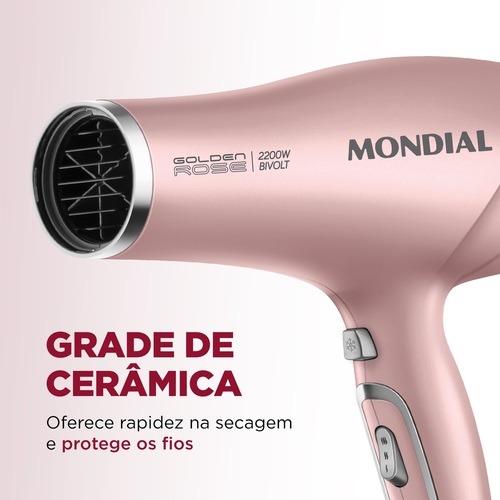 Secador de cabelo 2200 watts Golden Rose bilvot - SC-32  110V/220V