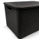 Kit 2 Caixas organizadoras com tampa 20 litros - Rattan
