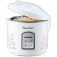 Kit Panela el�trica de arroz Bianca Rice NPE-05-5X + Espremedor de frutas 1,25L E-01  220V