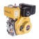 Motor a diesel 7 hp 4T partida el�trica e manual eixo 1