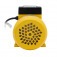 Motobomba perif�rica 1/2 cv monof�sica - Acquapump   220V