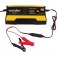 Carregador inteligente de bateria 6/12V - CIB 0220  220V