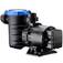 Motobomba com pr� filtro para piscina 1/3 hp - PF42M033  220V